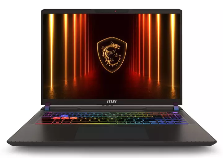 Ноутбук MSI Vector 16 HX (A13VHG-46642) EU