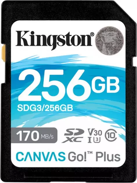 Карта памяти Kingston 256GB SDXC class 10 UHS-I U3 Canvas Go! Plus (SDG3/256GB) Карта памяти Kingston 256GB SDXC class 10 UHS-I U3 Canvas Go! Plus (SDG3/256GB)